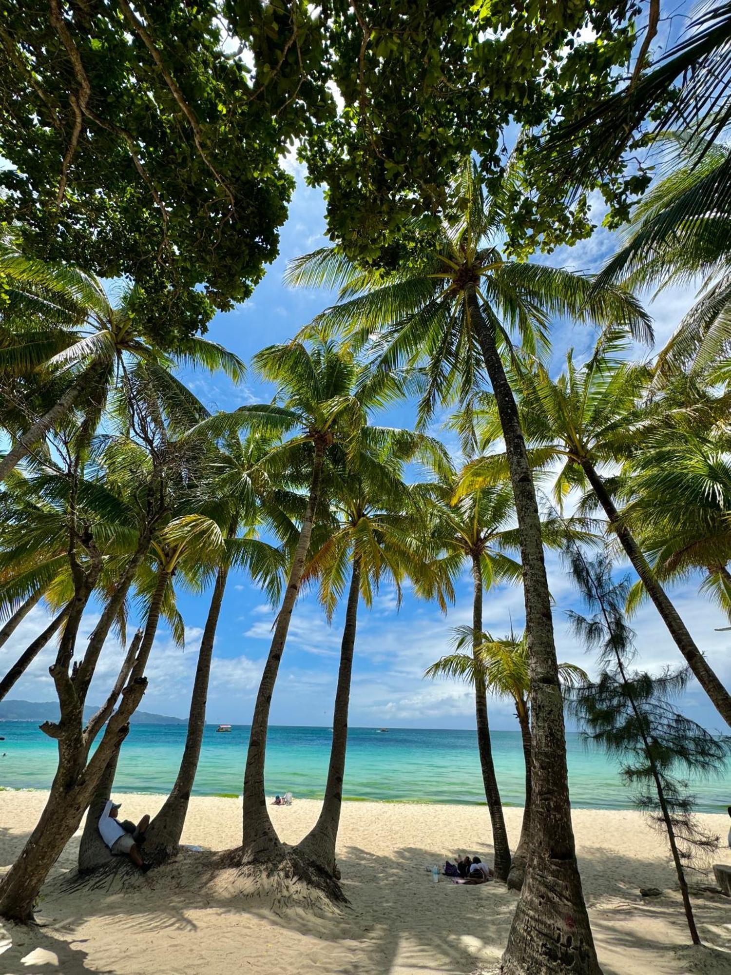 Casa Pilar Beach Resort Manoc-Manoc Eksteriør billede