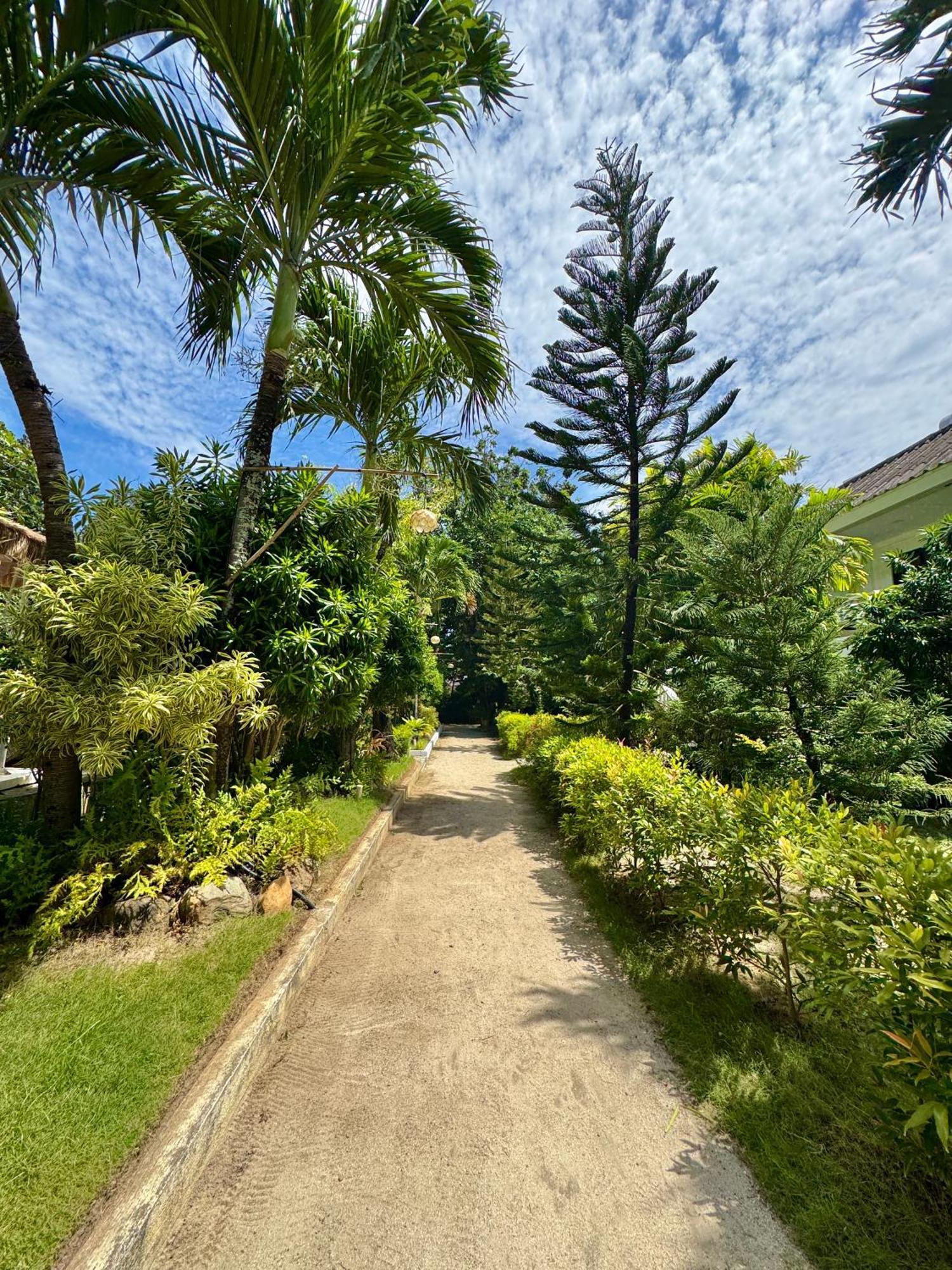 Casa Pilar Beach Resort Manoc-Manoc Eksteriør billede