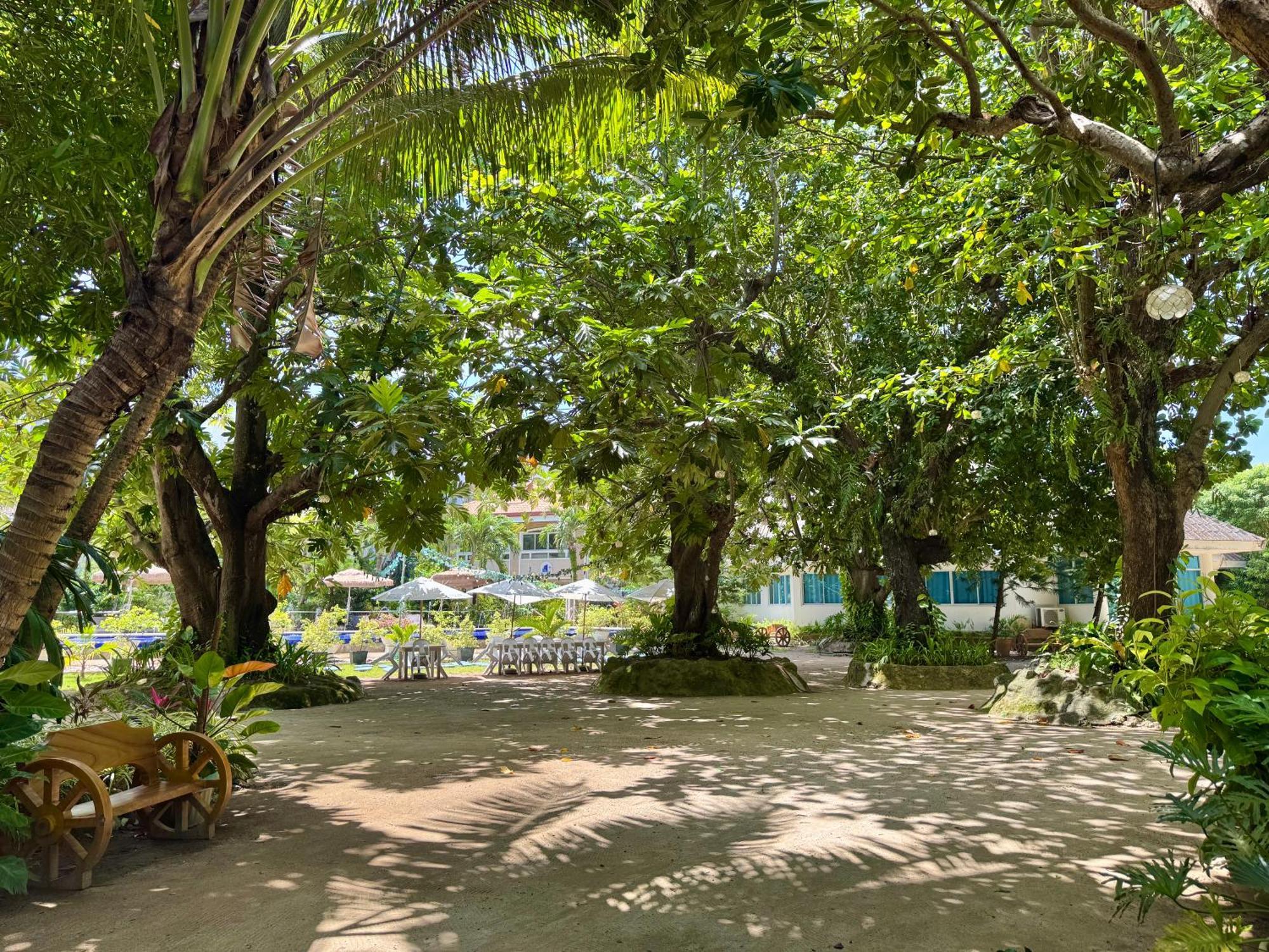 Casa Pilar Beach Resort Manoc-Manoc Eksteriør billede